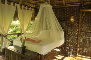 Dominican Tree House Village Room Dominican Tree House Village Room
